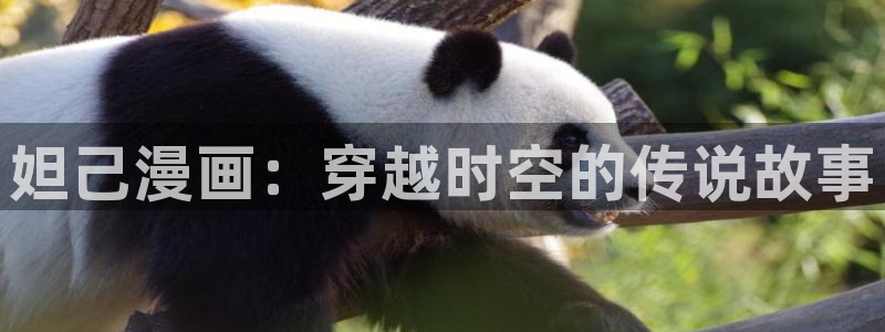 yy漫画首页登录入口页面在哪里免费：妲己漫画：穿越时空的传说故事